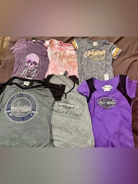 Harley-Davidson Purple, Gray & Pink Short Sleeve Graphic Tee Set